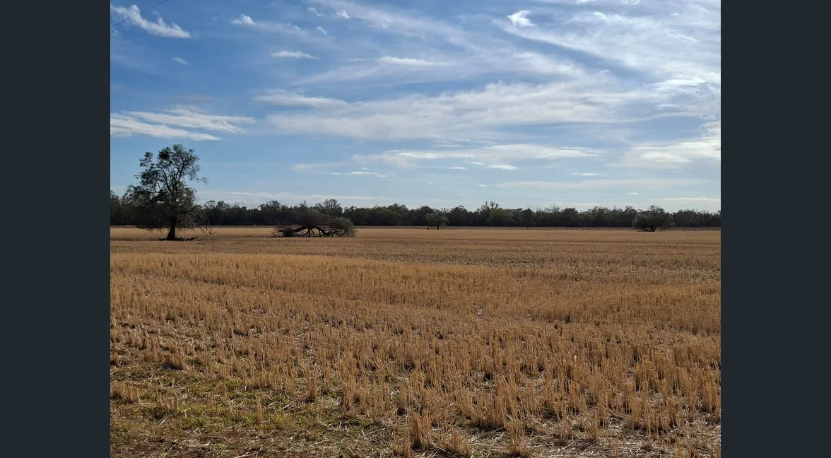 Additional image 22 of Alloway/1662 Oxley Highway, Gilgandra NSW 2827
