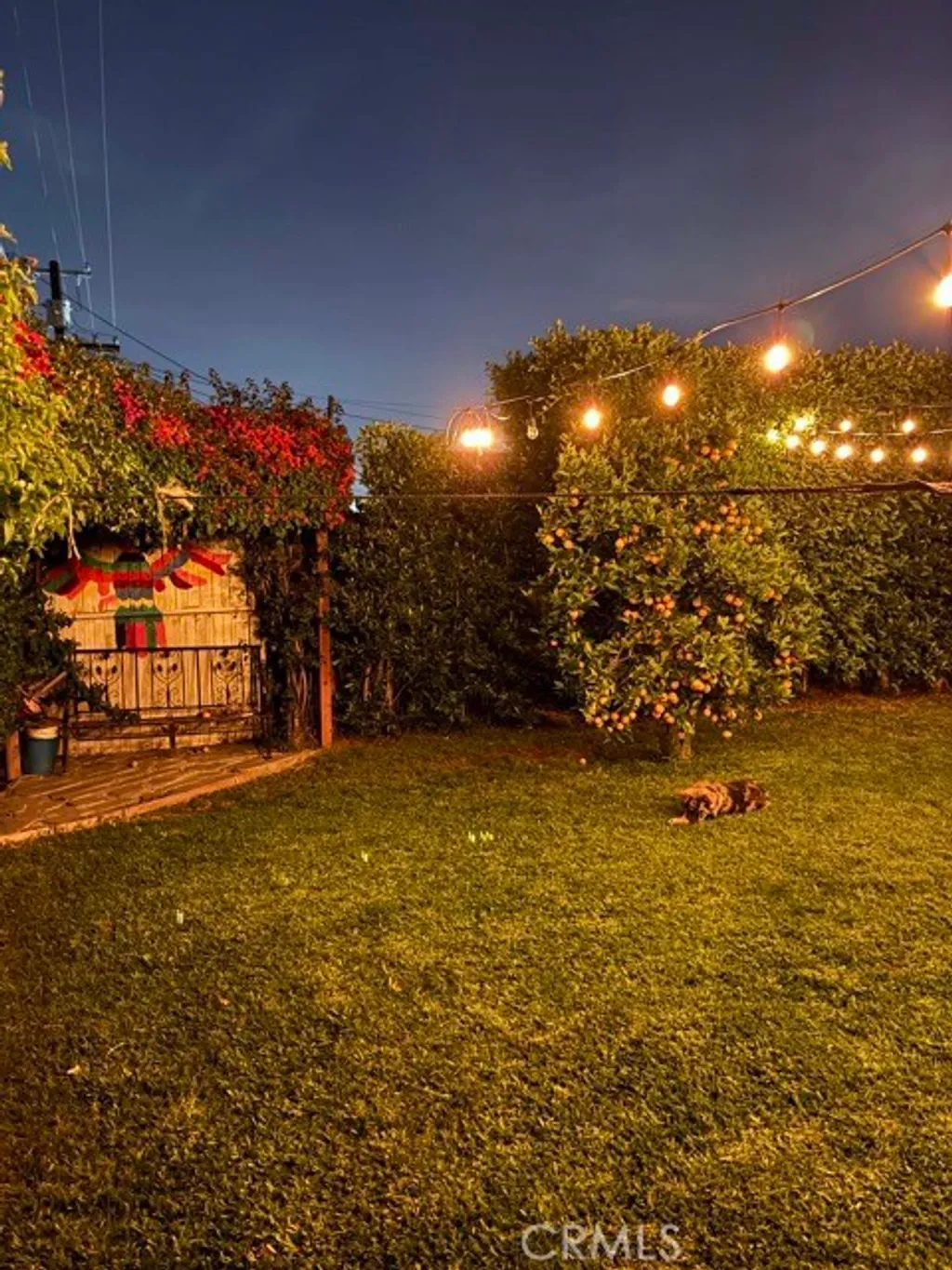 Additional image 6 of 1115 E 105th St, Los Angeles, CA 90002