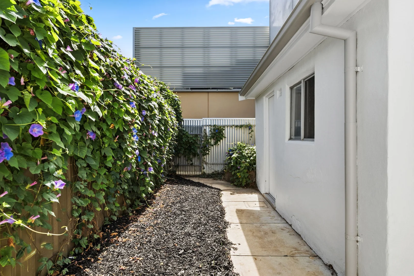Additional image 15 of 28 Maxwell Street, Adelaide SA 5000