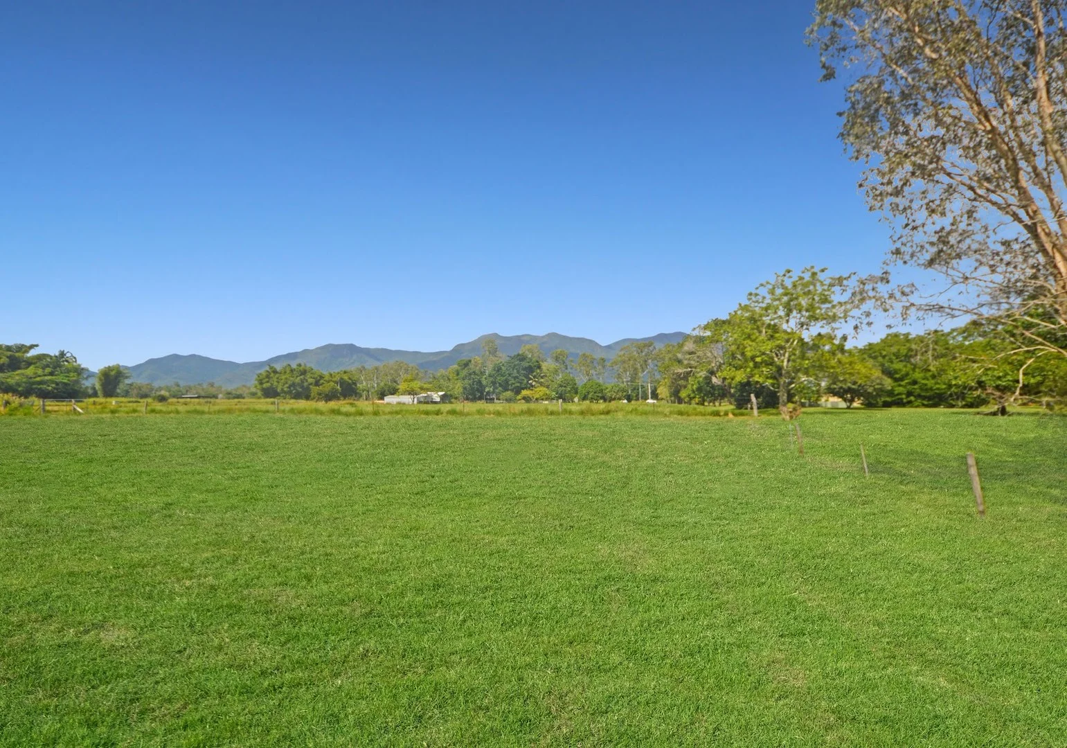 646 Ellerbeck Road, Carruchan QLD 4816