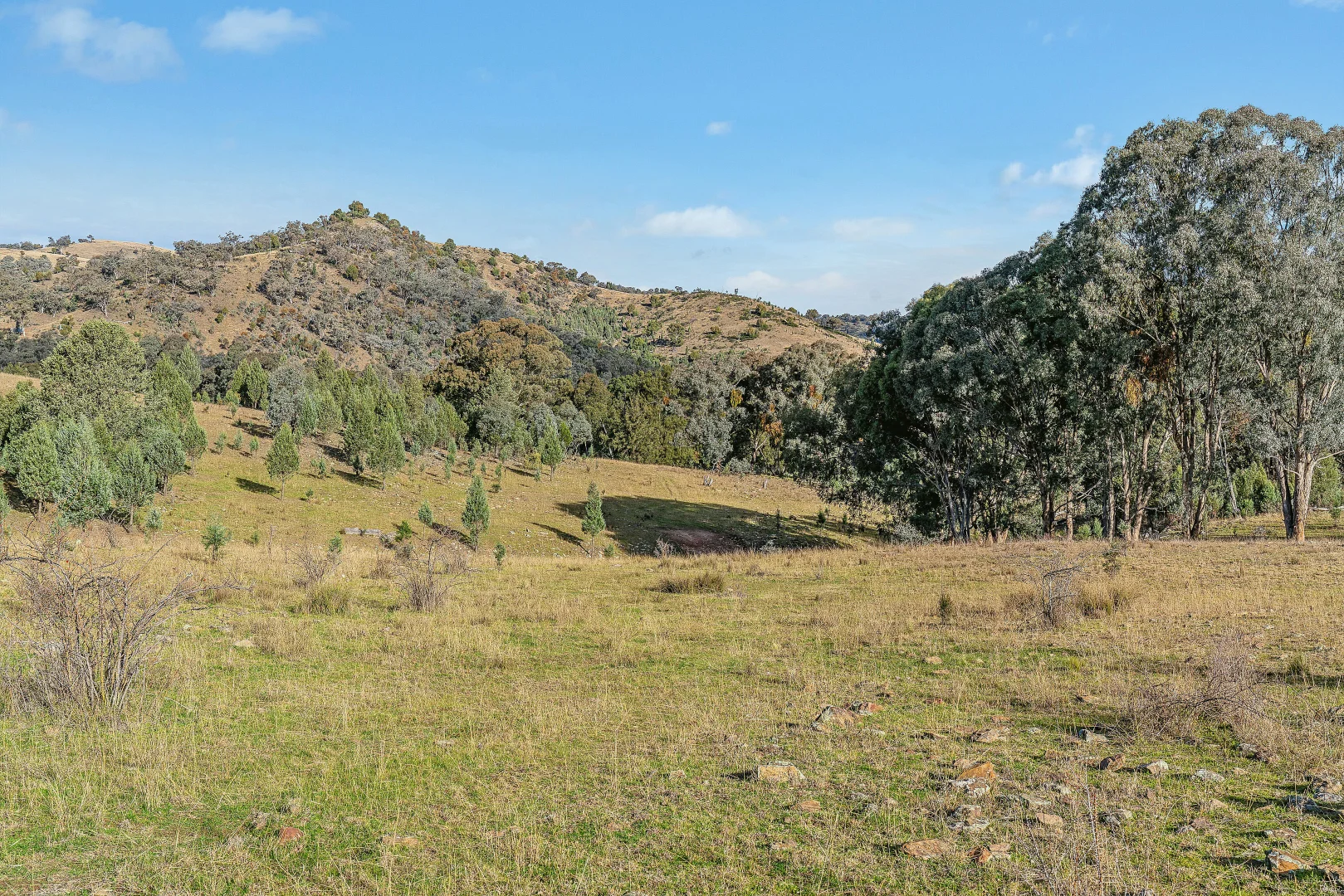 Additional image 9 of 2/1193 Yarrabin Road, Mudgee NSW 2850