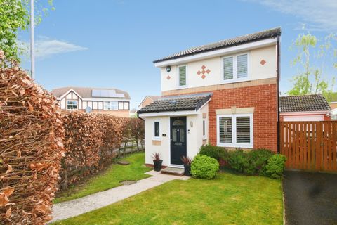 Hazelnut Grove, York YO30
