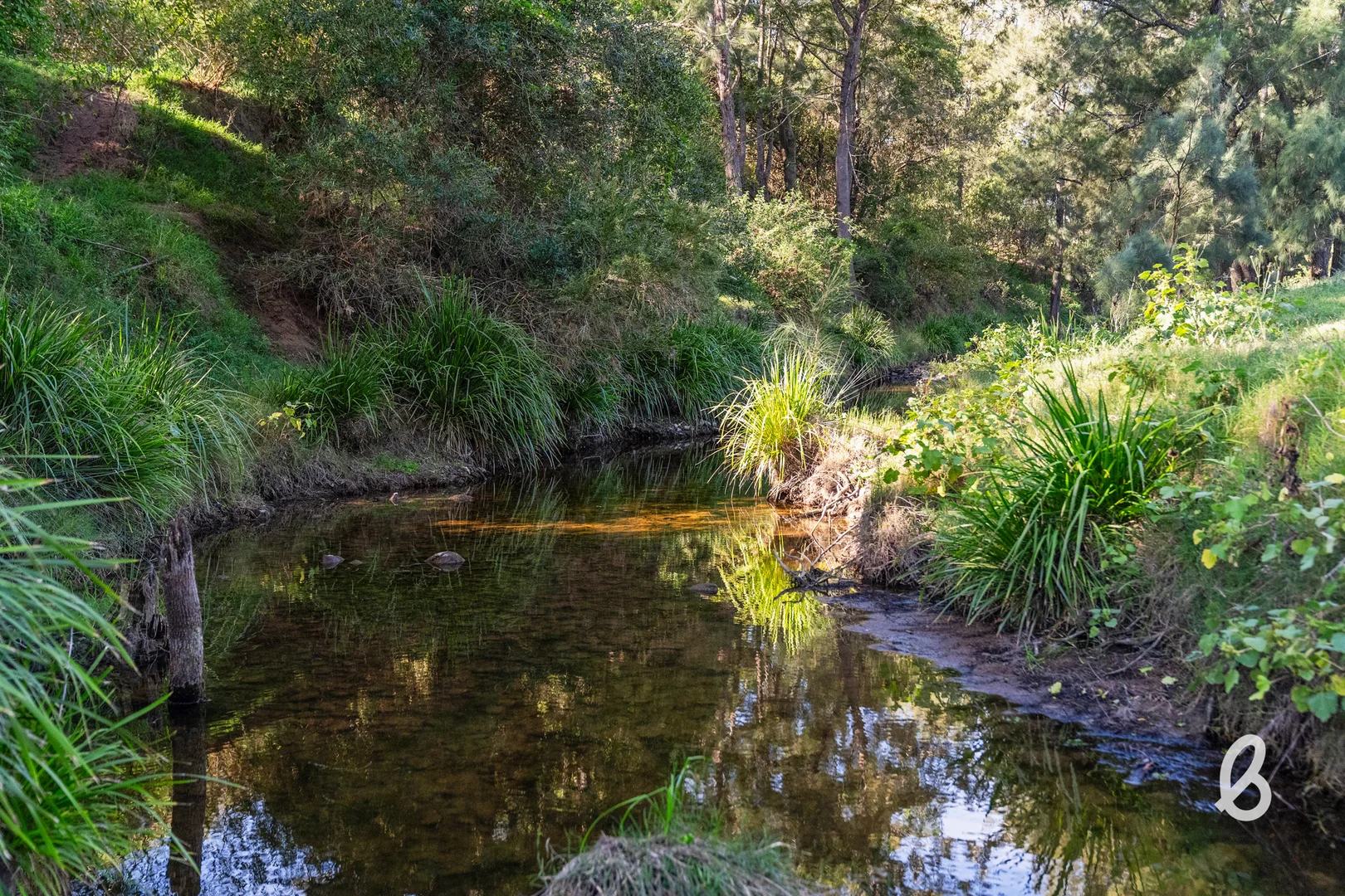 Additional image 43 of 581 Glendonbrook Road, Singleton NSW 2330