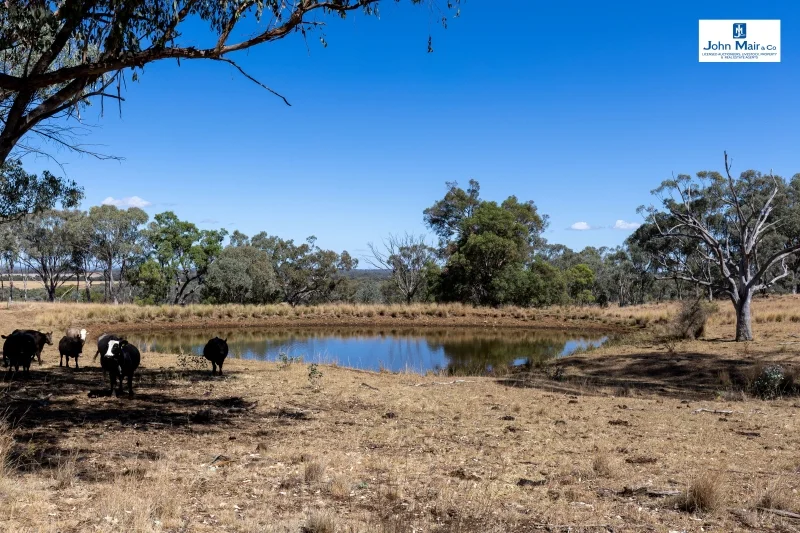 Additional image 13 of 'Glenrocky' 100 Lamonts Lane, Inverell NSW 2360