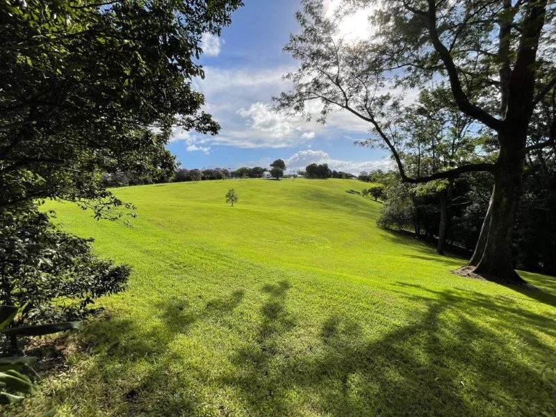 Additional image 6 of 353 Flaxton Drive, Flaxton QLD 4560