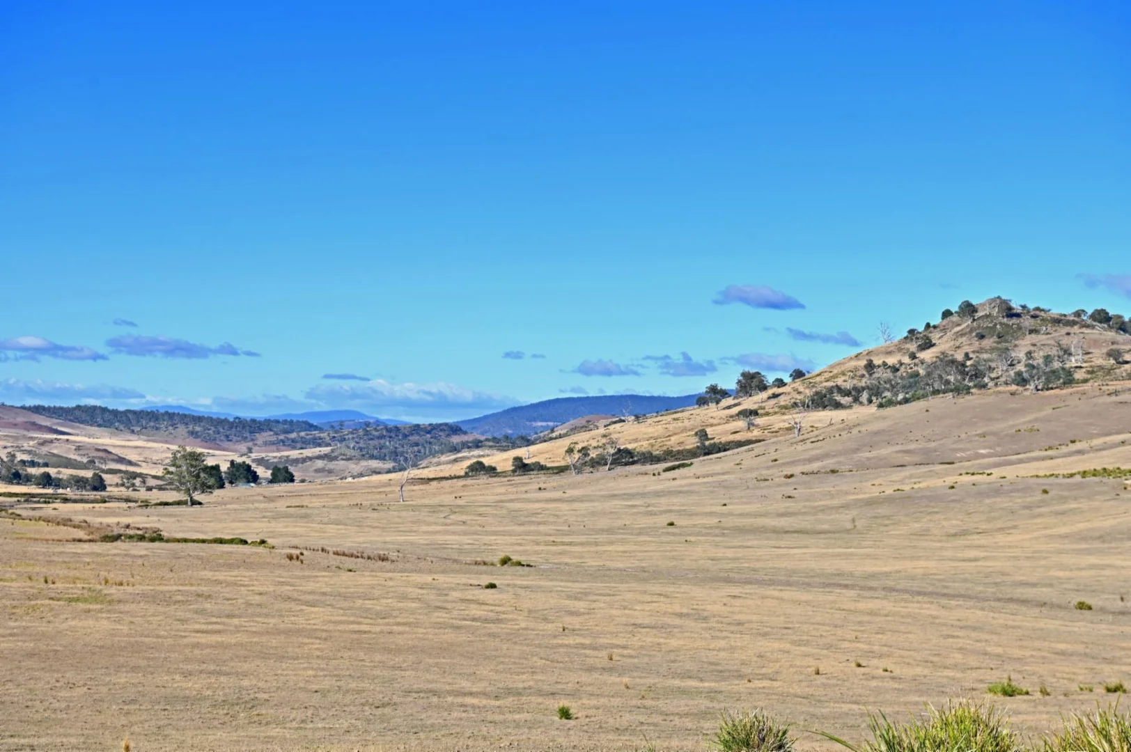 Additional image 32 of 486 Lower Marshes Road, Jericho TAS 7030