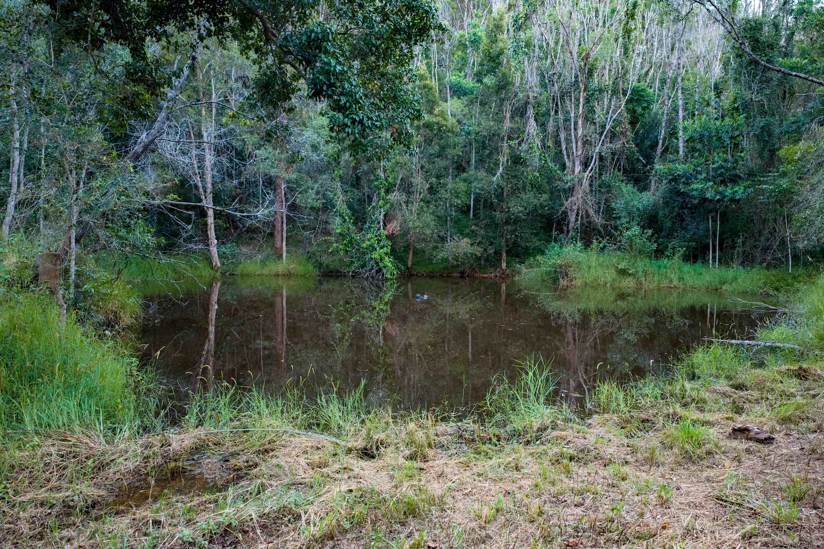 Additional image 22 of 15 Phillips Road, Ross Creek QLD 4570