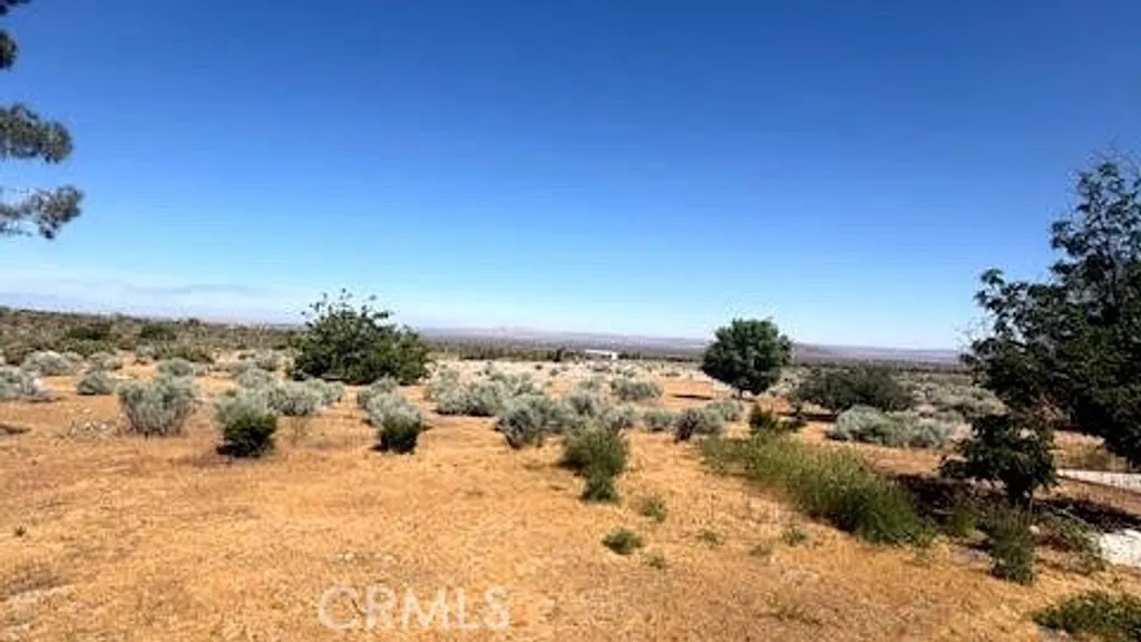 Additional image 11 of 21123 Avenue Fort Tejon, Llano, CA 93544