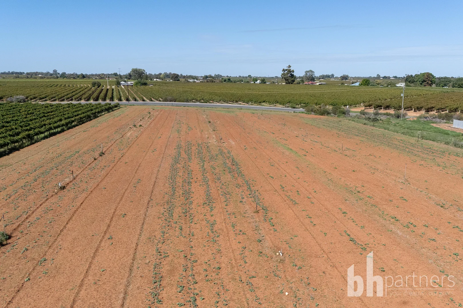 Additional image 7 of Lot 38 Loveday Road, Barmera SA 5345