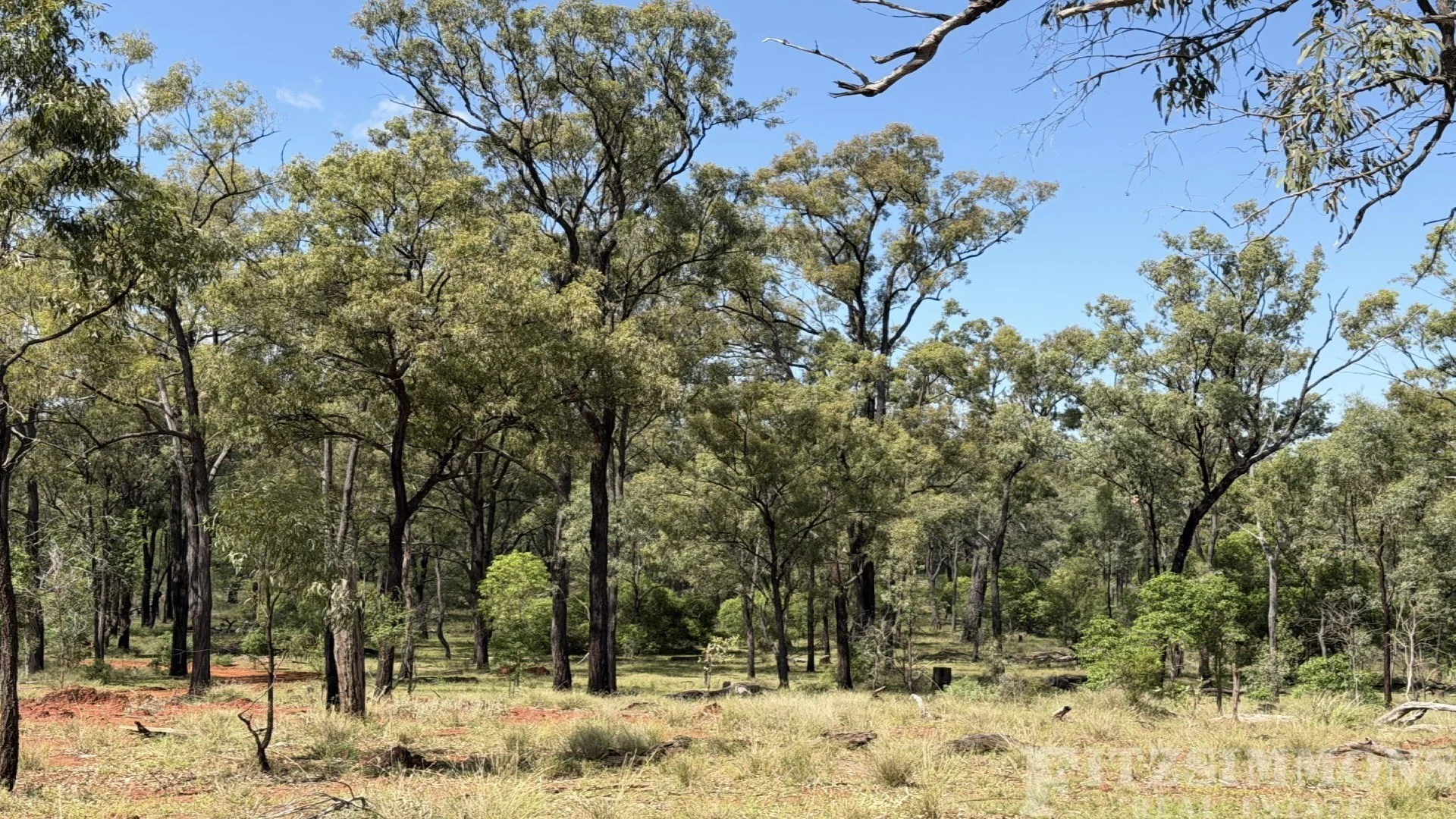 Additional image 23 of Braziers Road, Jandowae QLD 4410