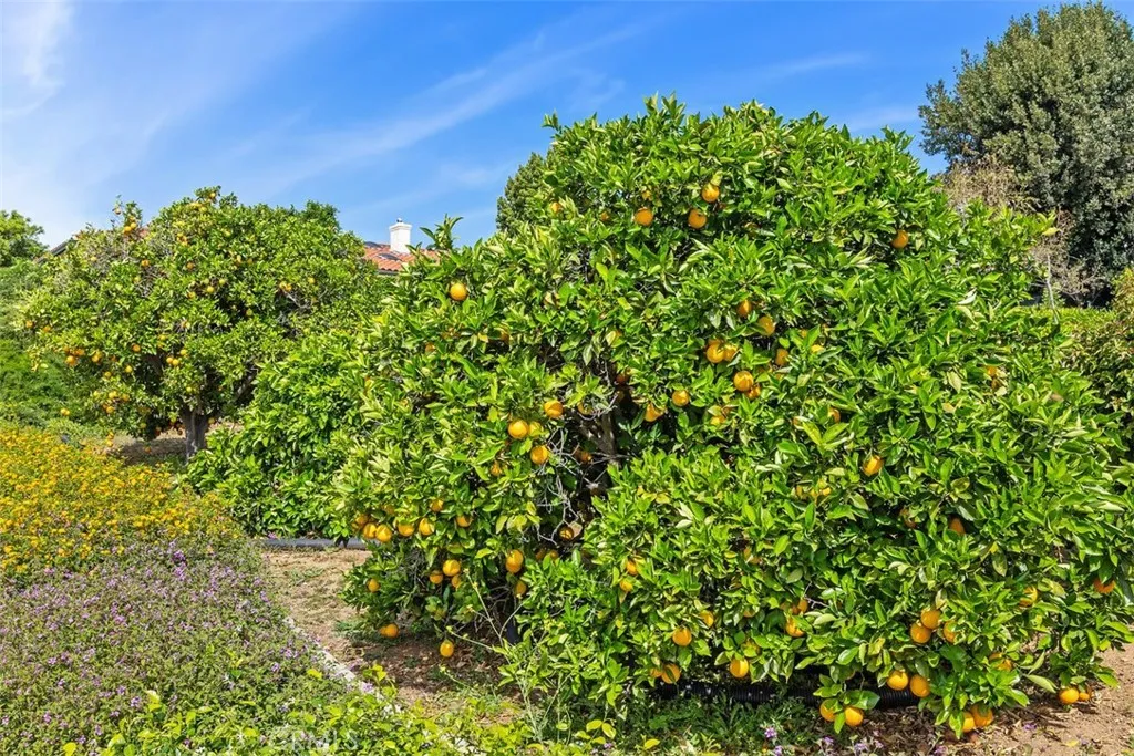 Additional image 70 of 1787 Armadale Road, Fallbrook, CA 92028