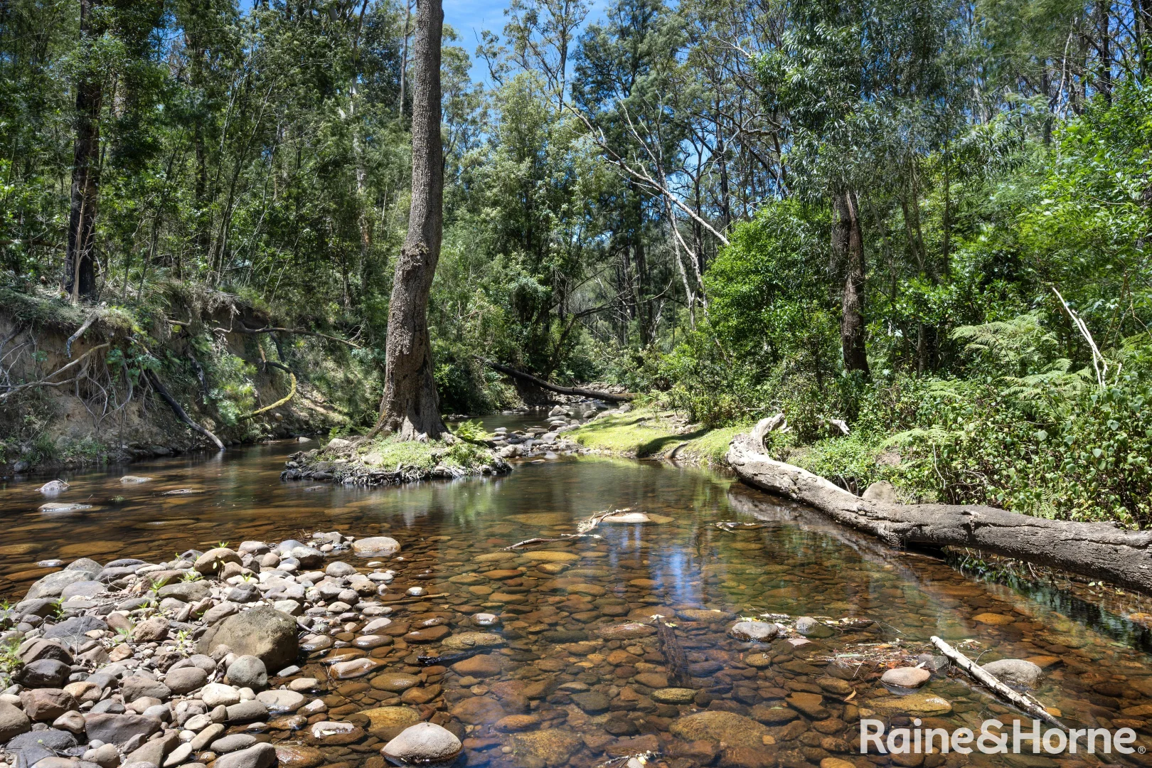Additional image 11 of 86/87 Abernethys Road, Budgong NSW 2577