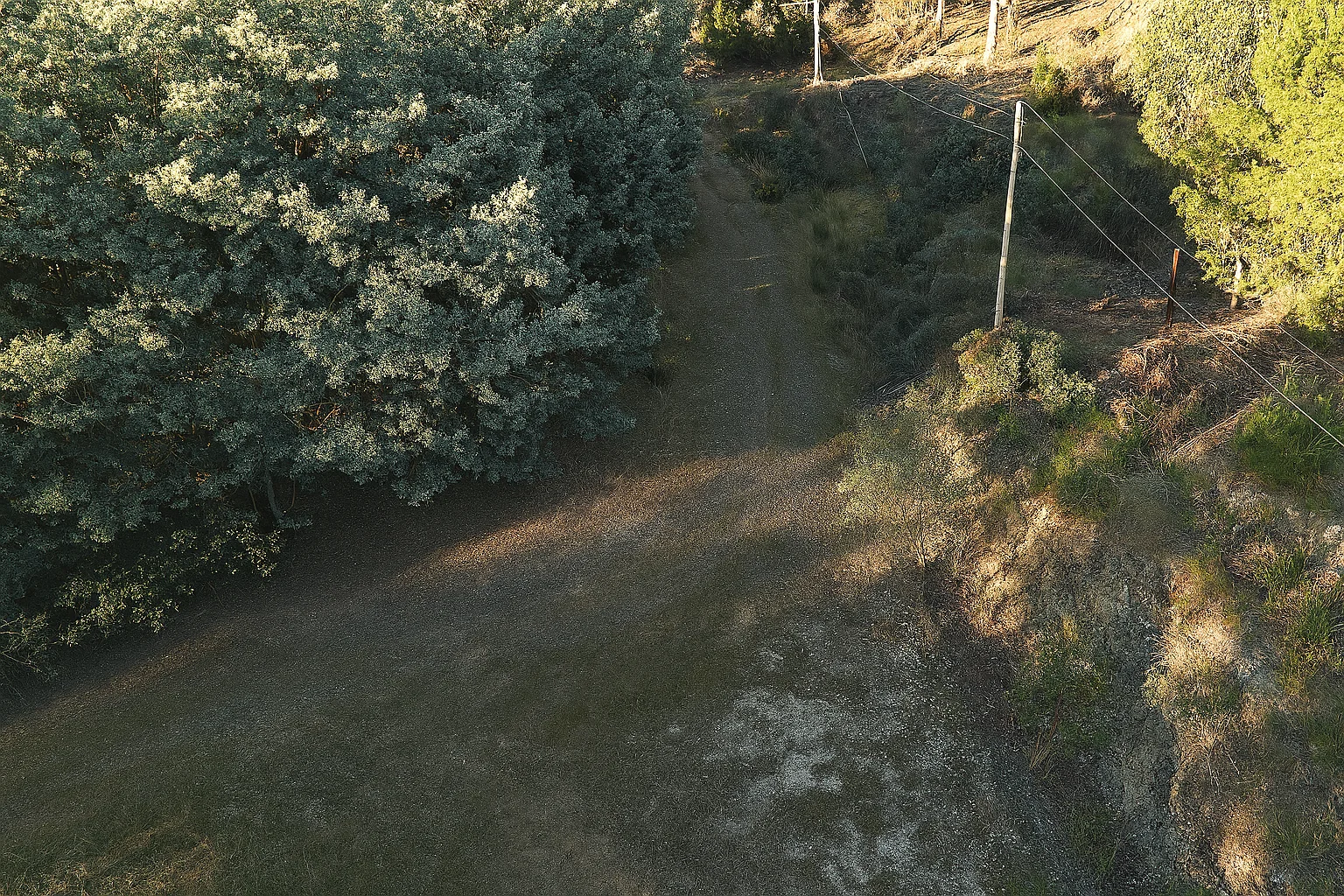 Additional image 17 of 166 Kerrisons Road, Holwell TAS 7275