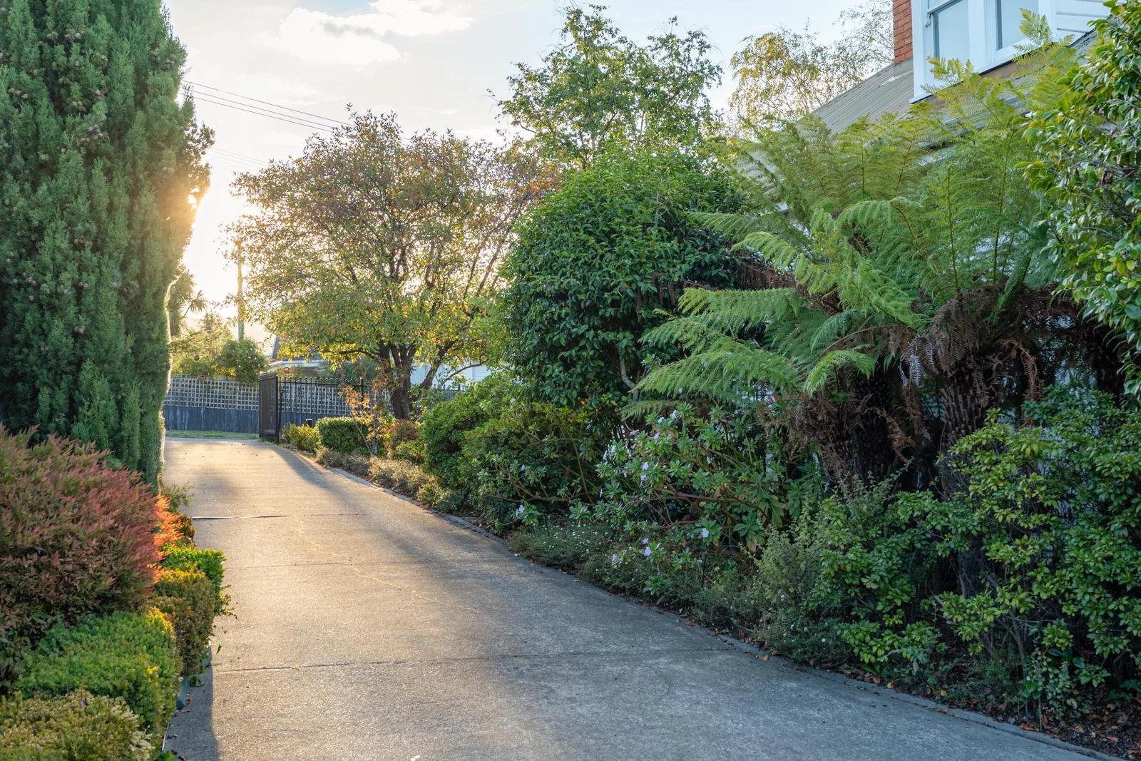 Additional image 31 of 39 Bishop Street, New Town TAS 7008