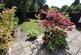 Bhylls Crescent, Castlecroft, Wolverhampton, WV3 photo 2