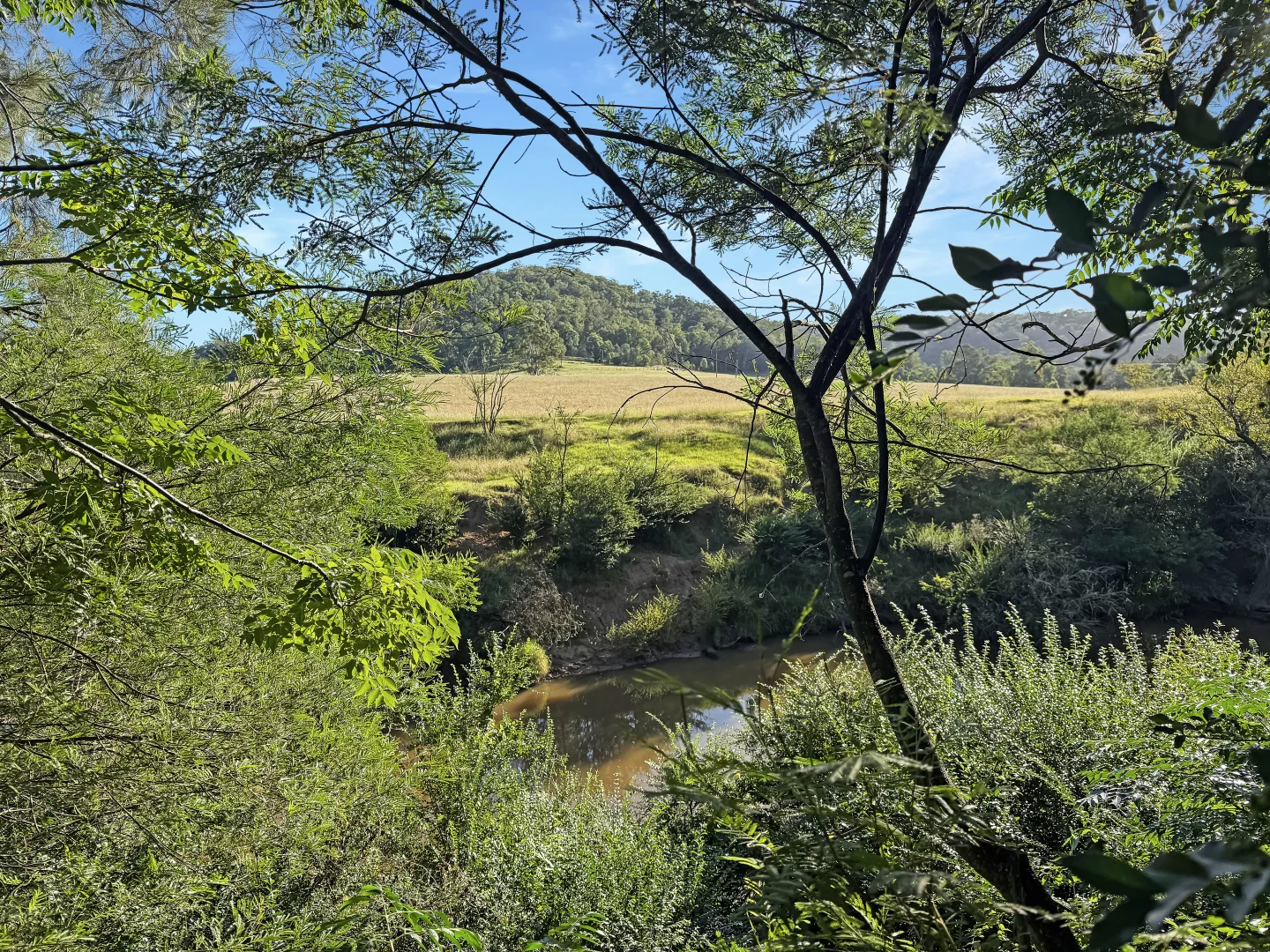 Additional image 4 of 2938 Paynes Crossing Rd, Wollombi NSW 2325