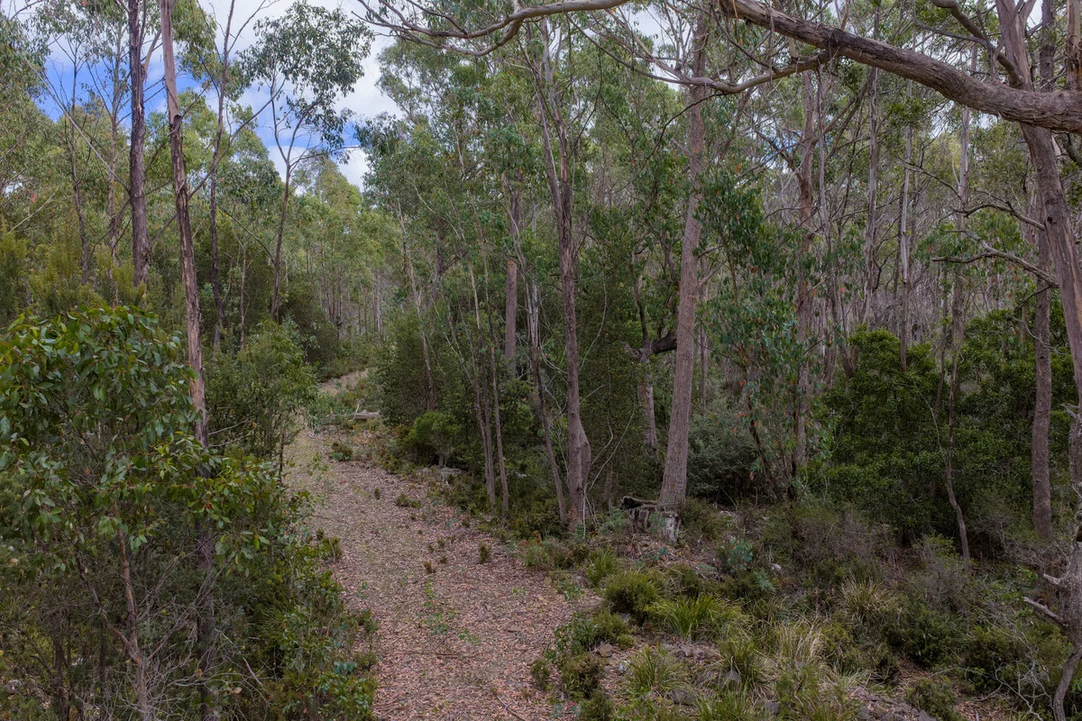 Additional image 8 of Mt Foster Road, Fingal TAS 7214
