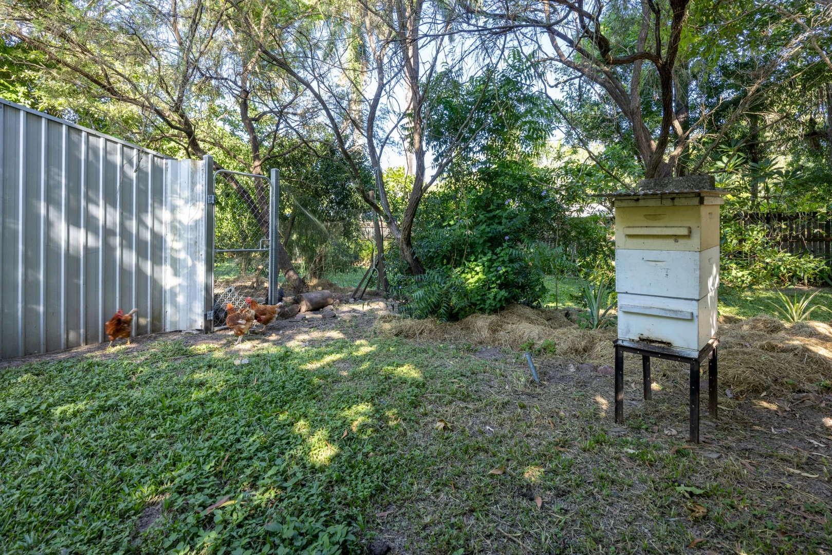 Additional image 25 of 6 Darley Road, Bluewater QLD 4818