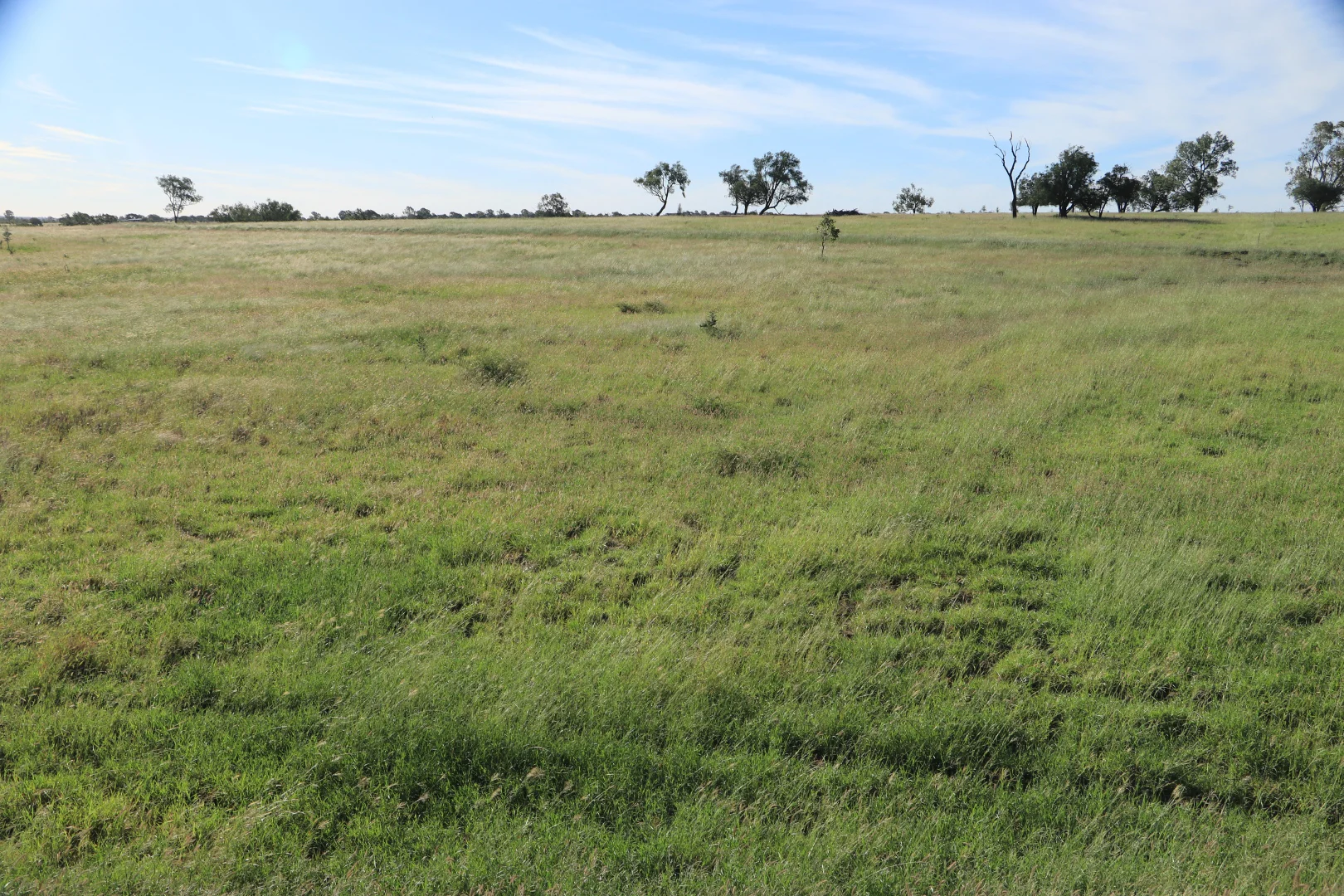Additional image 9 of 564 ORALLO ROAD, Roma QLD 4455