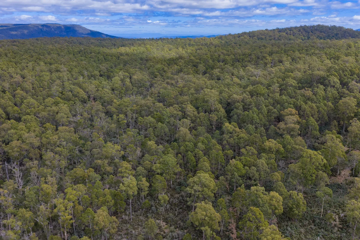Additional image 7 of Mt Foster Road, Fingal TAS 7214