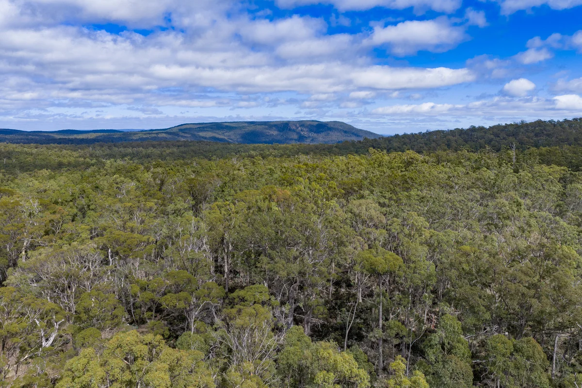 Additional image 4 of Mt Foster Road, Fingal TAS 7214
