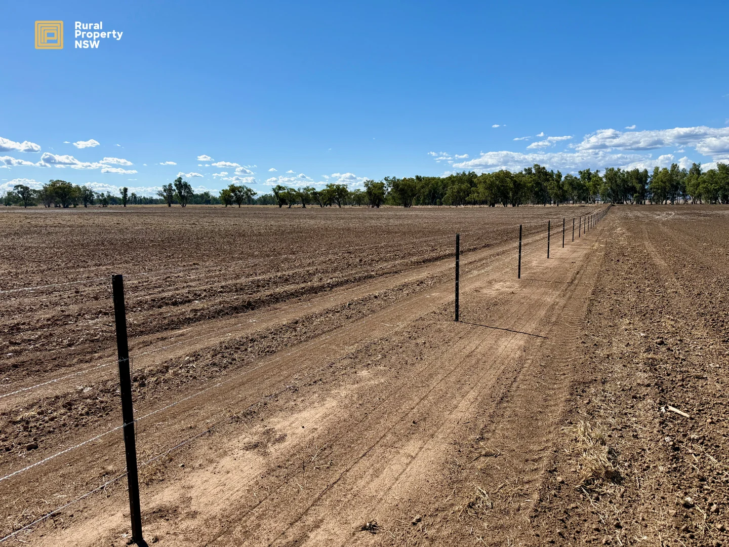 Additional image 8 of MCKENZIES/149 Henriendi Lane, Baan Baa NSW 2390