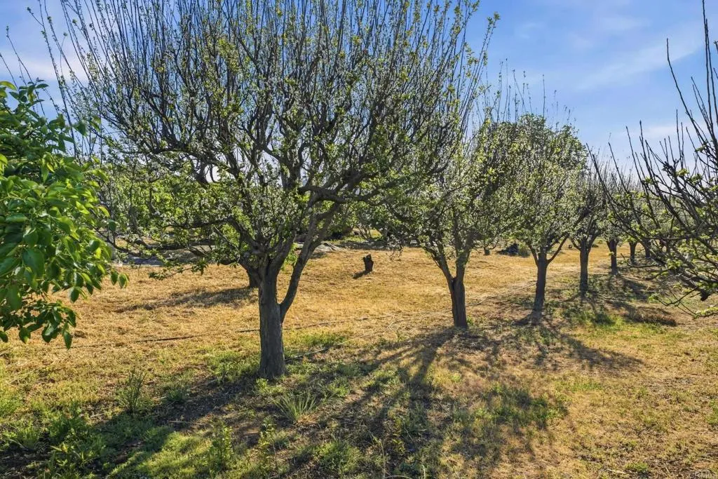 Additional image 110 of 18131 Traylor Road, Ramona, CA 92065
