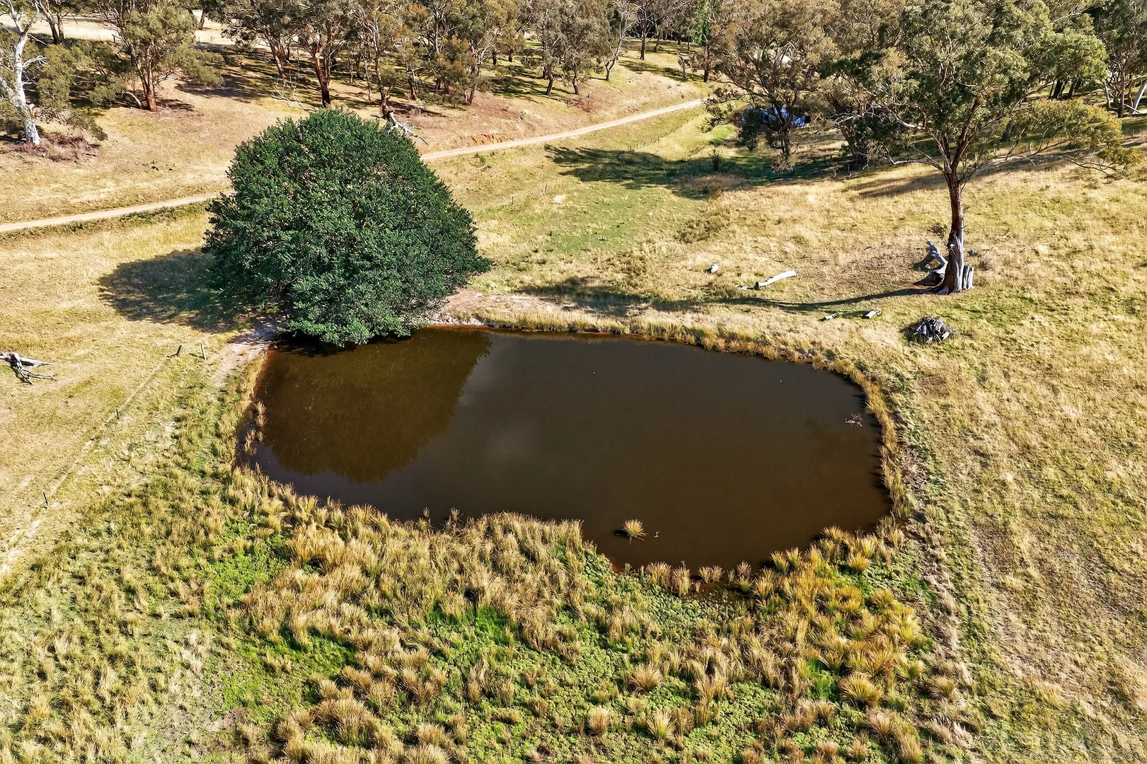 Additional image 3 of 89 Ensay-Doctors Flat Road, Ensay VIC 3895