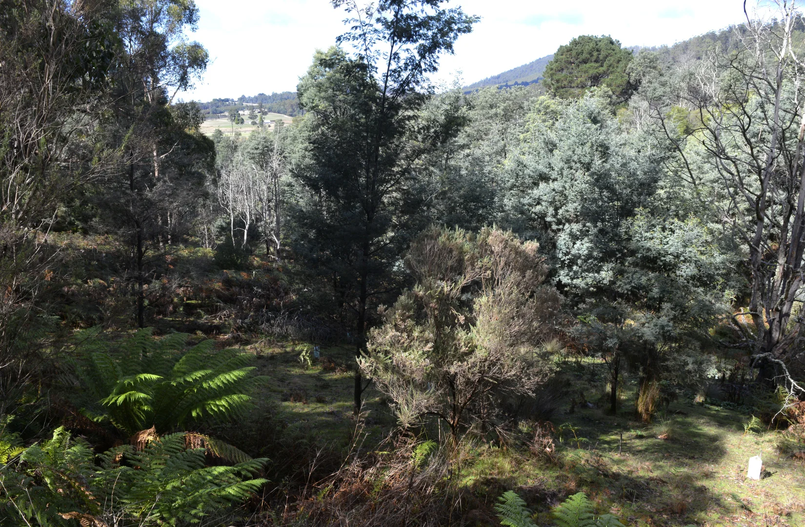 Additional image 6 of 166 Kerrisons Road, Holwell TAS 7275