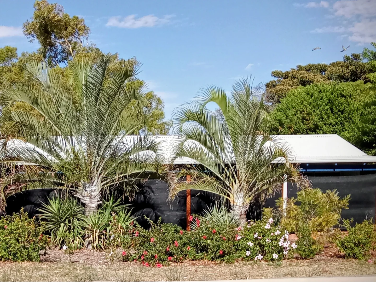 44 Crawford Street, Spalding WA 6530