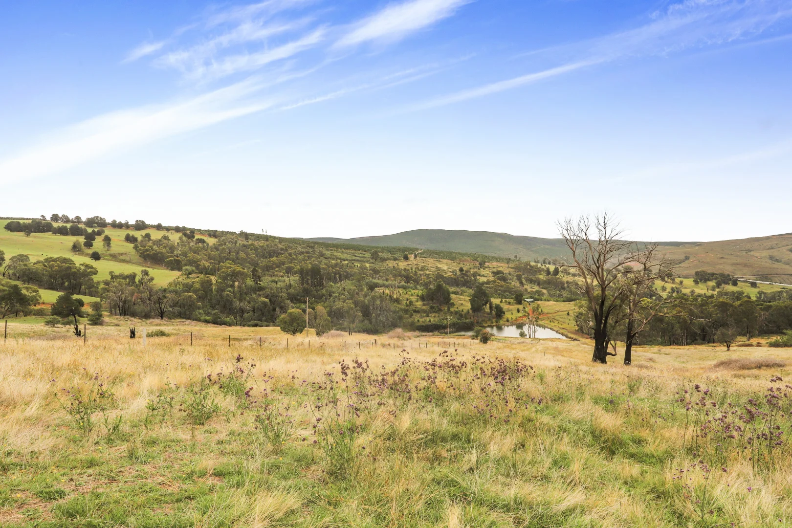 Additional image 10 of 755 Old Tumbarumba road, Batlow NSW 2730