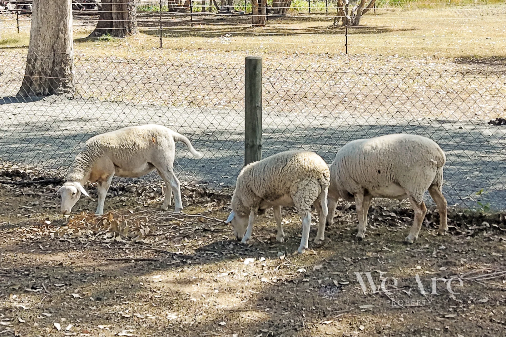 Additional image 22 of 153 Mundoolun rd, Jimboomba QLD 4280