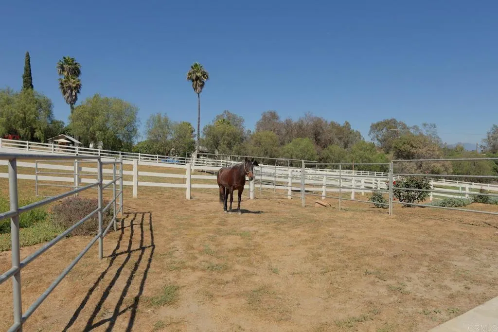 Additional image 53 of 161 Lemon Grove Drive, Fallbrook, CA 92028