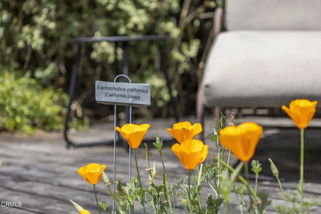 Additional image 68 of 909 Daly Road, Ojai, CA 93023
