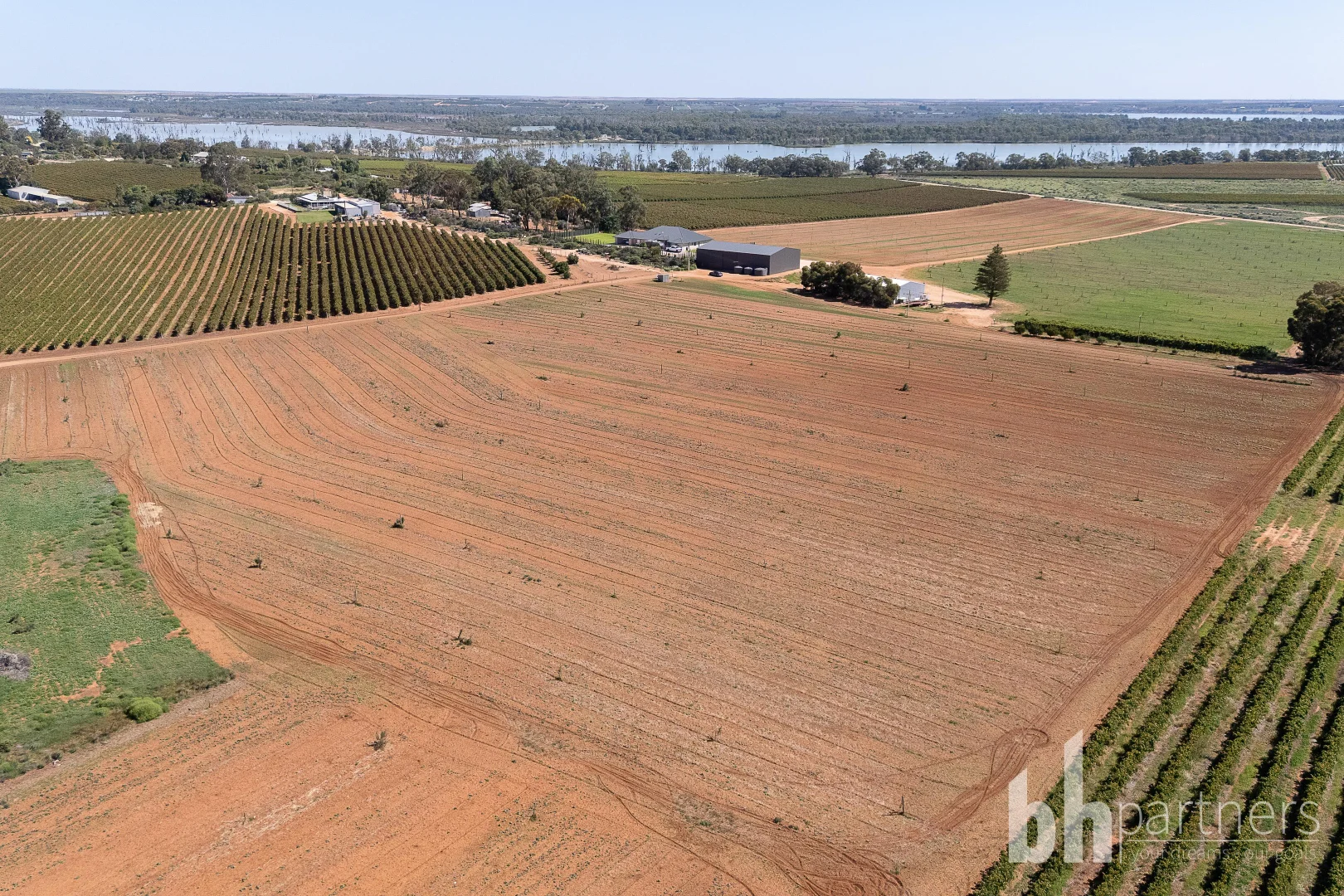 Additional image 6 of Lot 38 Loveday Road, Barmera SA 5345