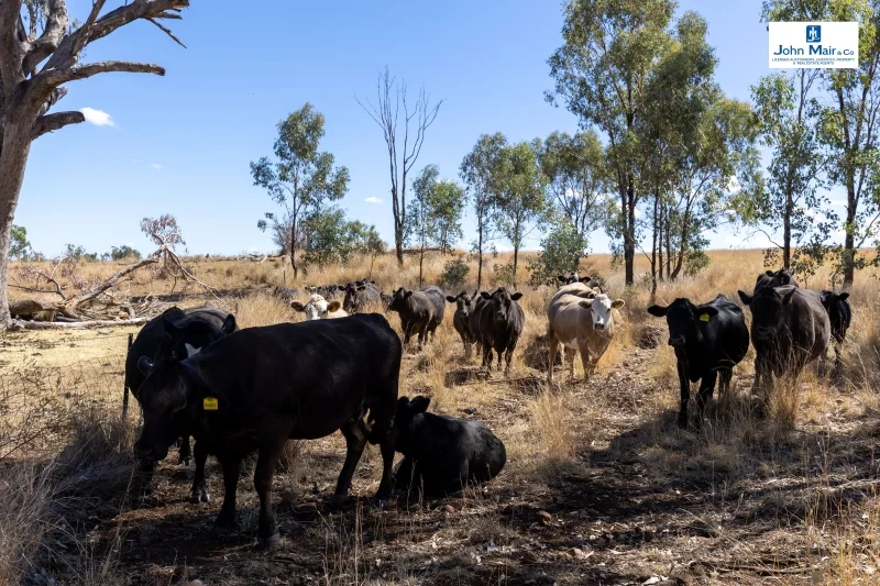 Additional image 14 of 'Glenrocky' 100 Lamonts Lane, Inverell NSW 2360