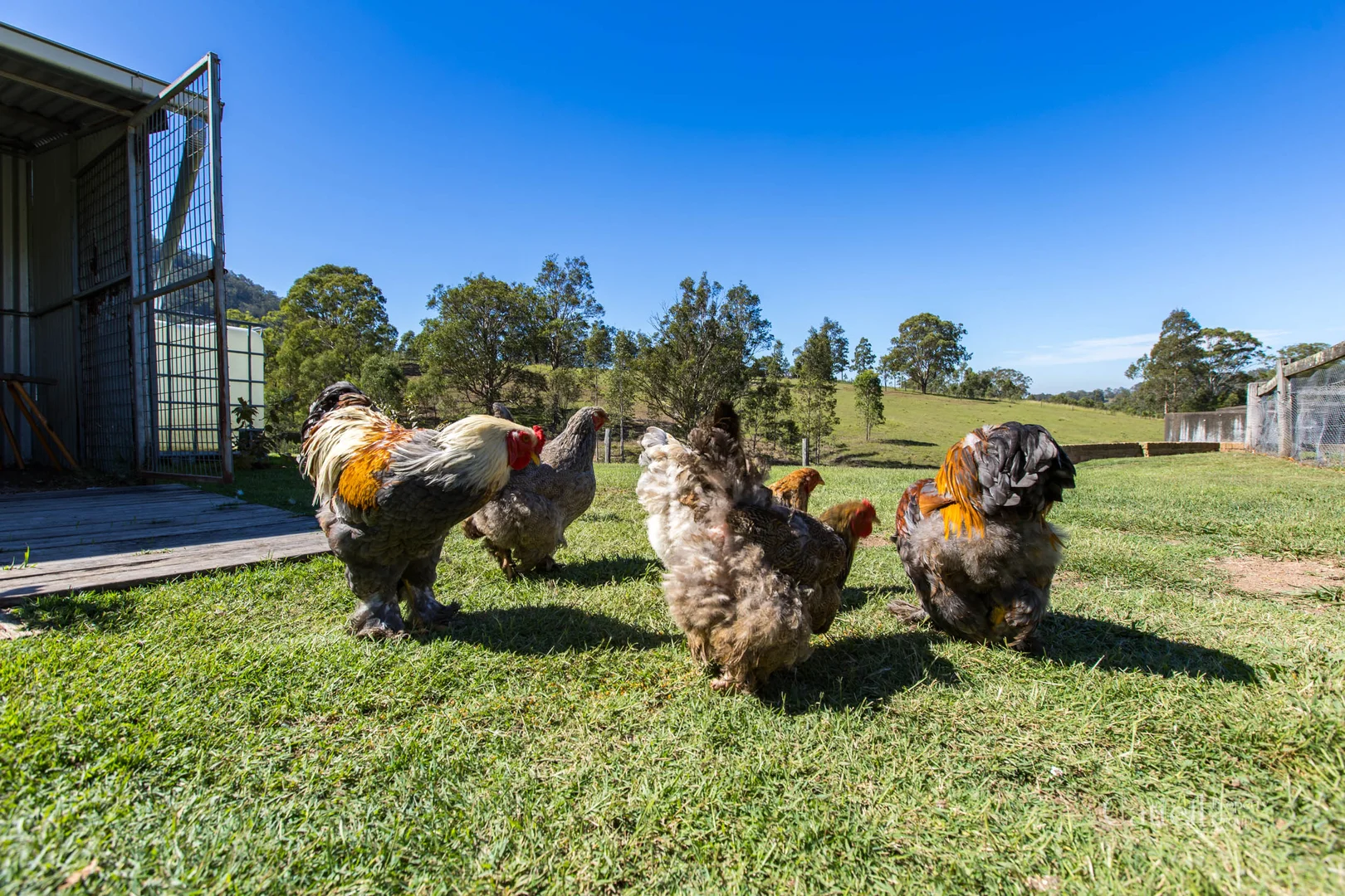 Additional image 11 of 1468 Maitland Vale Road, Lambs Valley NSW 2335