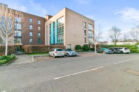 Haggs Gate, Pollokshaws G41