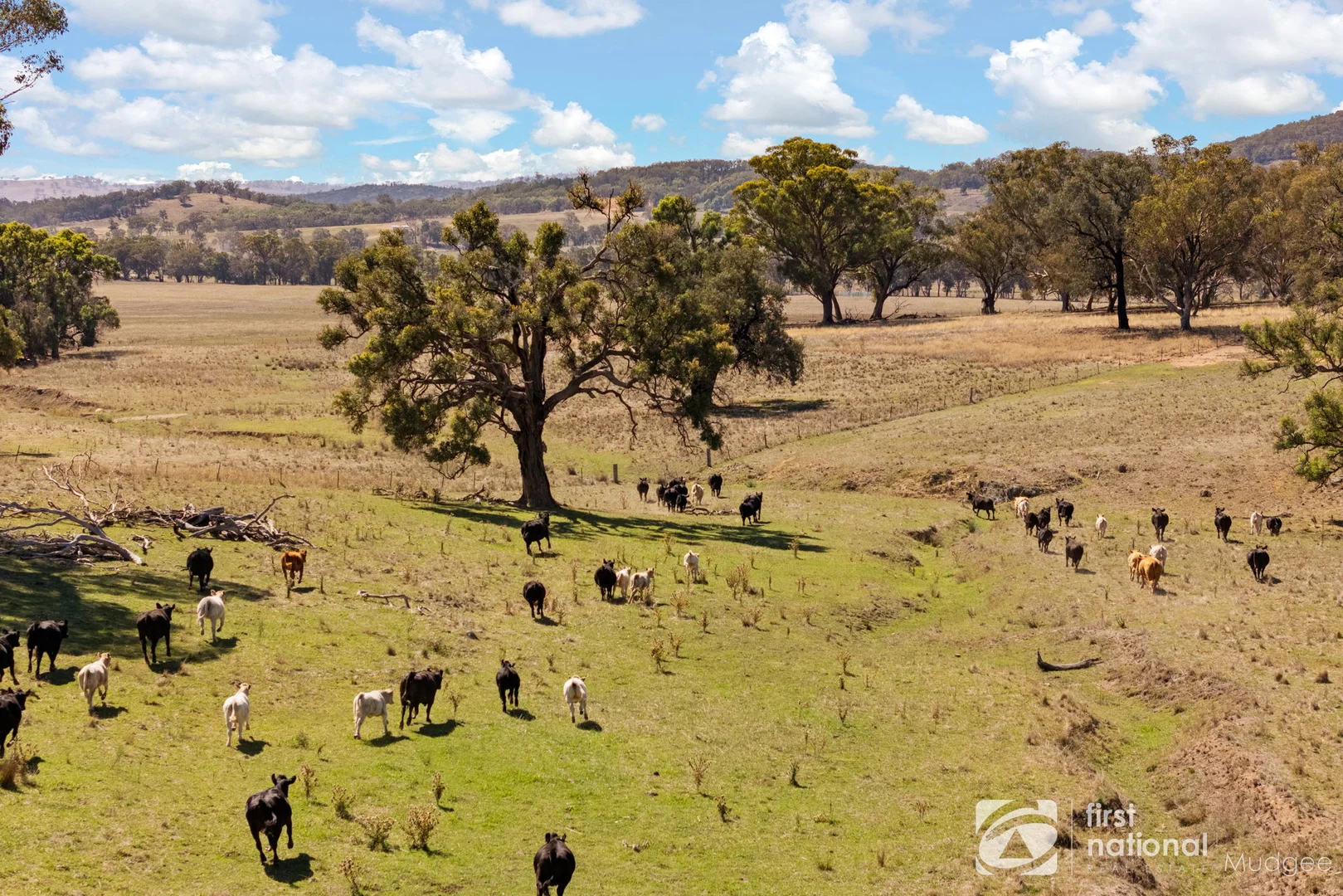 Additional image 2 of 365 Erudgere Lane, Mudgee NSW 2850