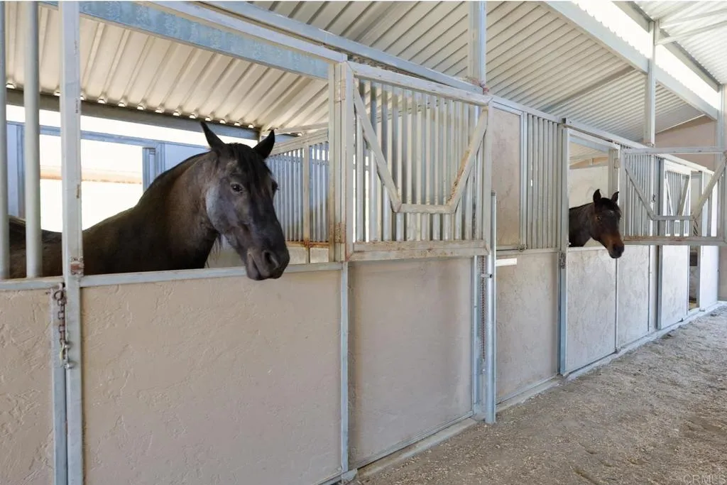 Additional image 4 of 161 Lemon Grove Drive, Fallbrook, CA 92028