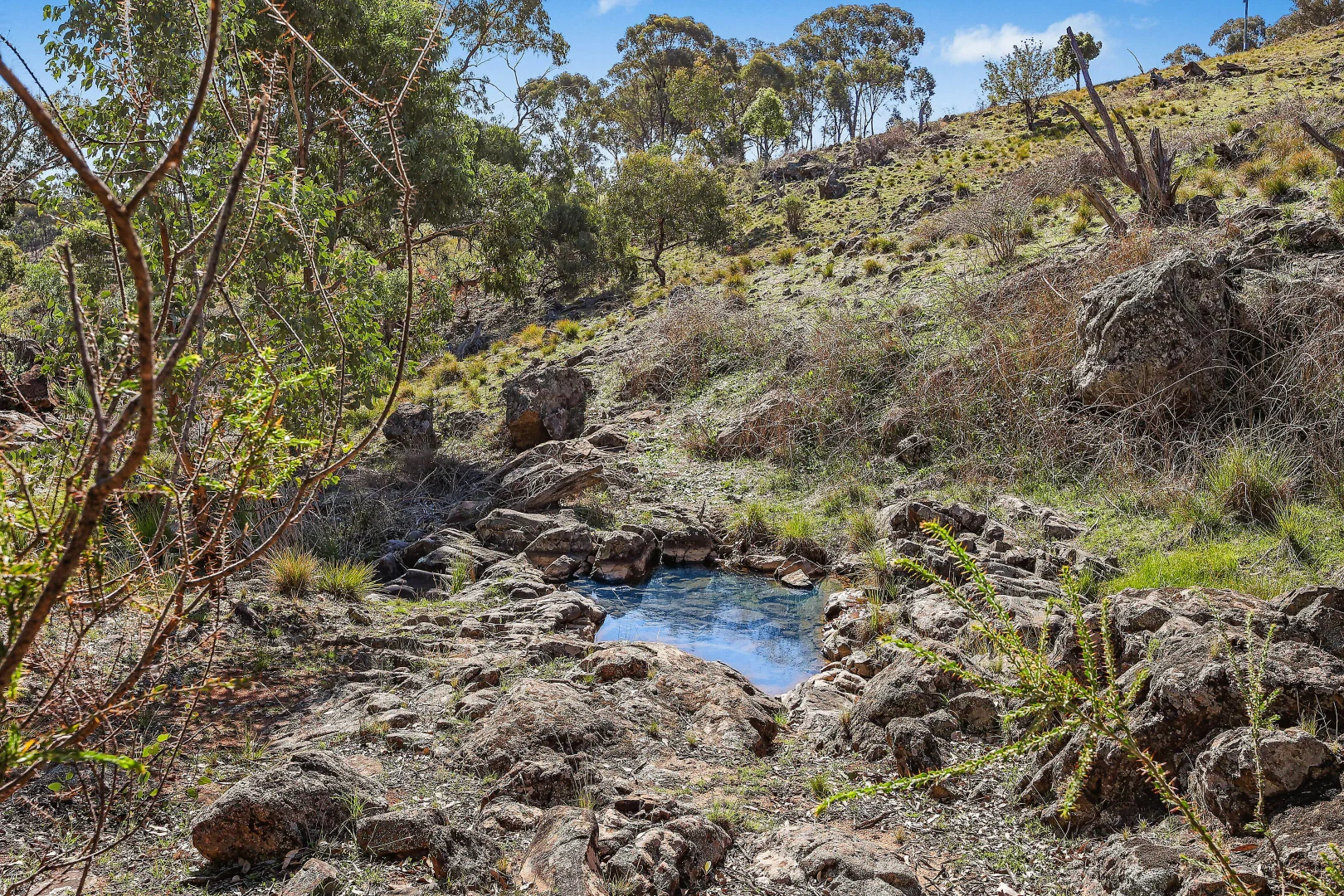 Additional image 9 of 318 Beragoo Road, Mudgee NSW 2850