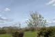Roman Way, Thrapston, Kettering photo 2