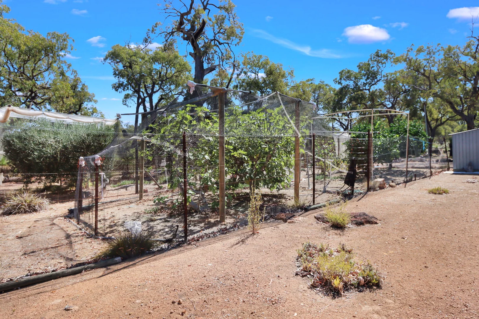 Additional image 19 of Toodyay WA 6566