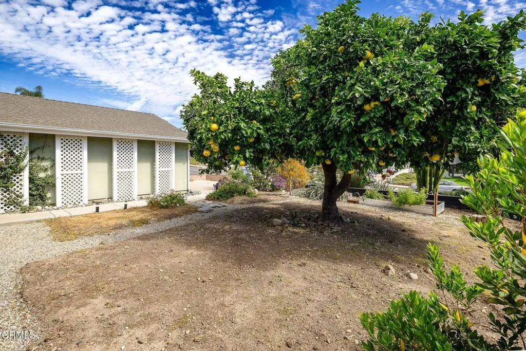 Additional image 85 of 400 Atmore Drive, Santa Paula, CA 93060