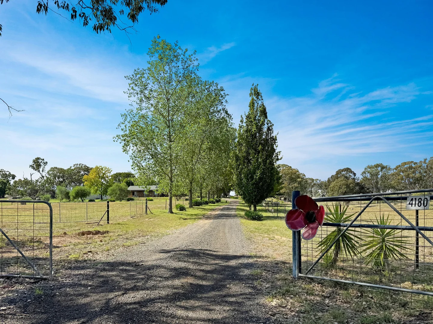 Additional image 35 of 4180 Olympic HWY, Young NSW 2594