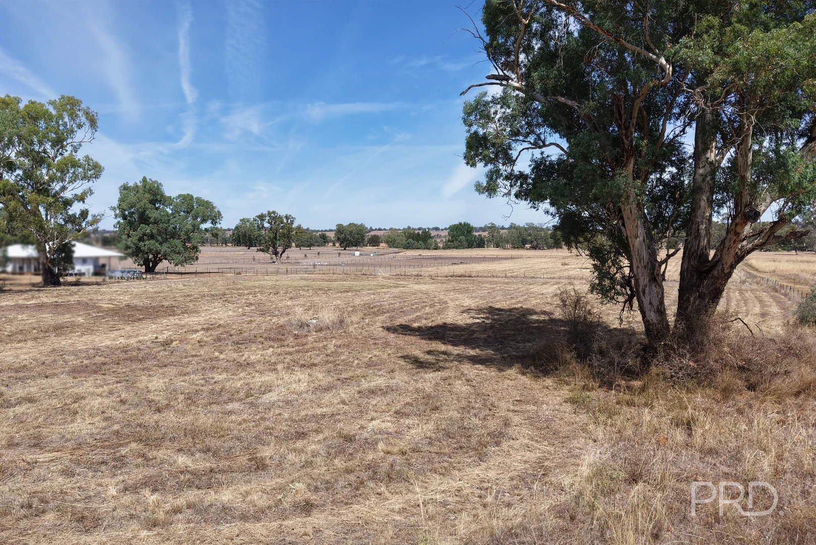 Additional image 3 of 479 Spains Lane, Quirindi NSW 2343