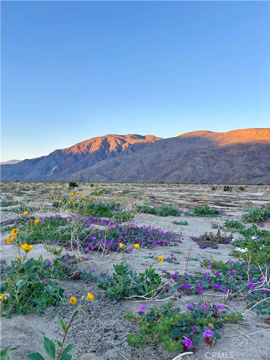 Additional image 41 of 3195 Club Circle W, Borrego Springs, CA 92004
