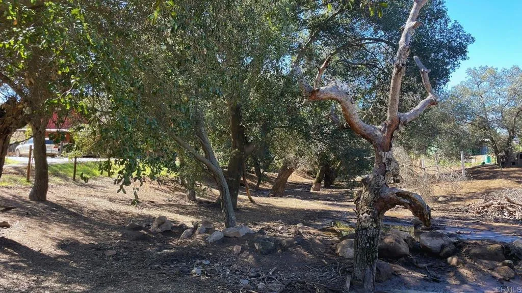 Additional image 75 of 22002 Lyons Valley Road, Alpine, CA 91901