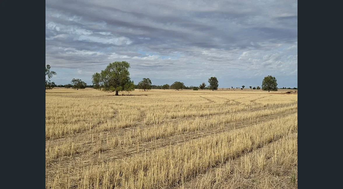Alloway/1662 Oxley Highway, Gilgandra NSW 2827