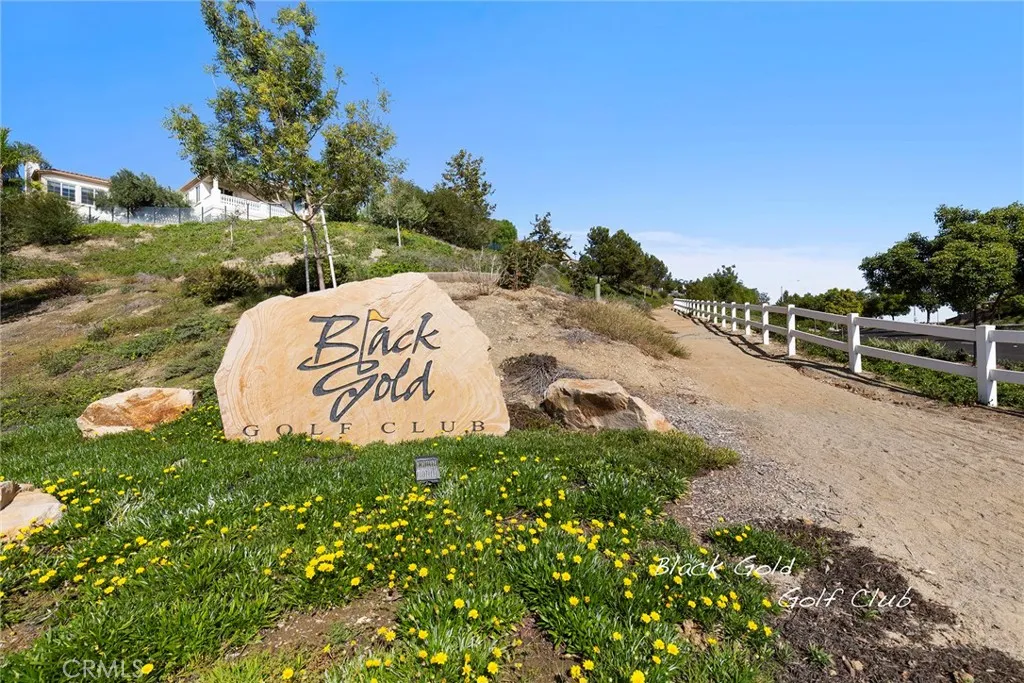 Additional image 108 of 17206 Coriander Court, Yorba Linda, CA 92886